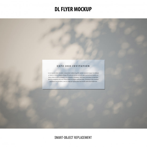Dl Flyer Mockup Psd