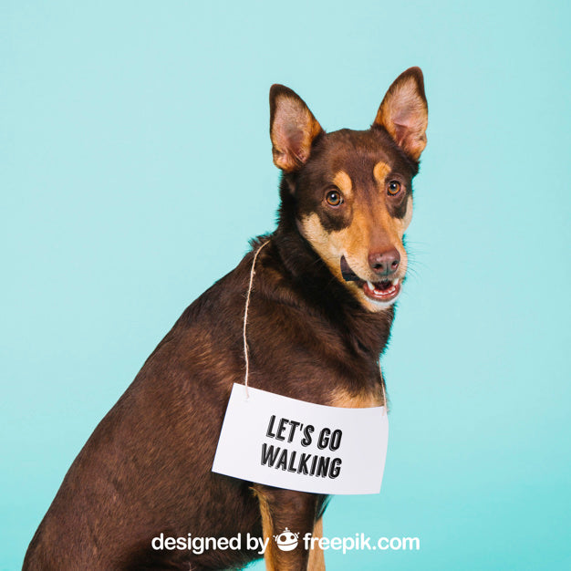 Dog Mockup With Signage Psd