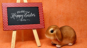 Easter Bunny Easel Chalkboard Mockup Psd