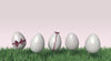 Easter Eggs Mockup Psd