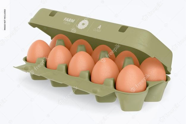 Egg Box Mockup, Opened Psd