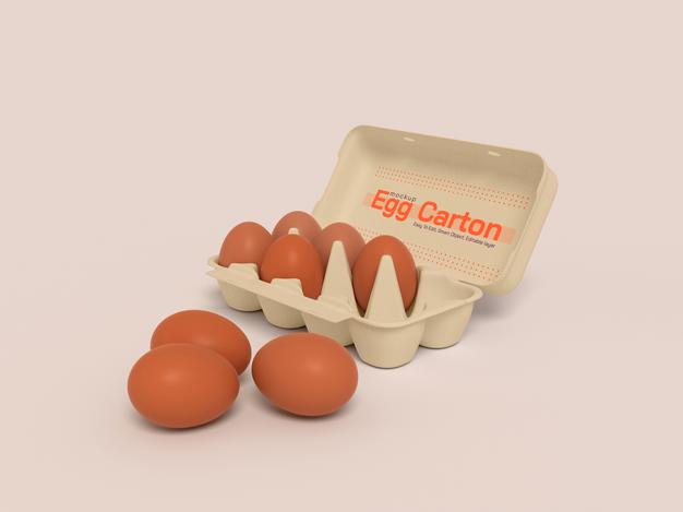 Egg Carton Box Mockup Psd
