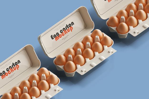 Egg Carton Mockup Psd
