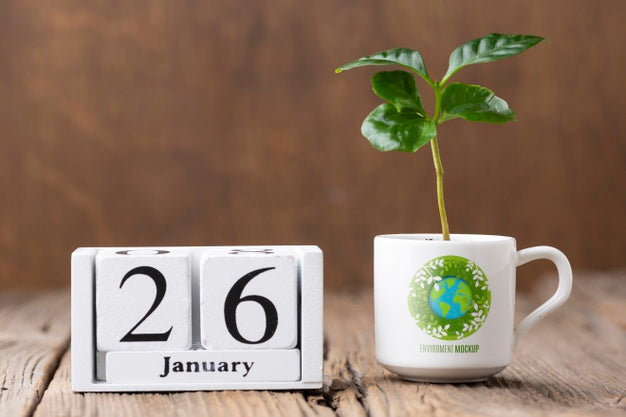 Environment Arrangement With Mock-Up Mug Psd