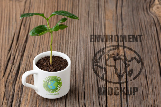 Environment Arrangement With Mock-Up Mug Psd