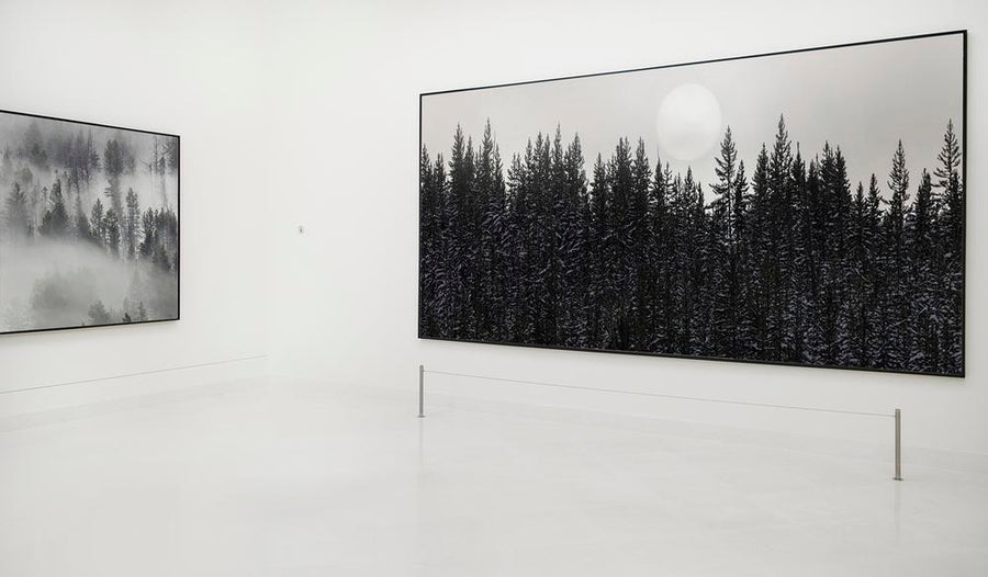 Exhibition Frame, Sign Mockup, Editable Design Psd