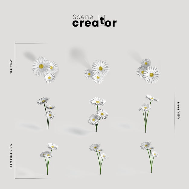 Field Flowers View Of Spring Scene Creator Psd