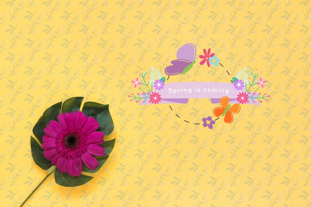 Flat Lay Copyspace Mockup For Spring Psd