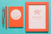 Flat Lay Coral Assortment With Frame Mock-Up Psd