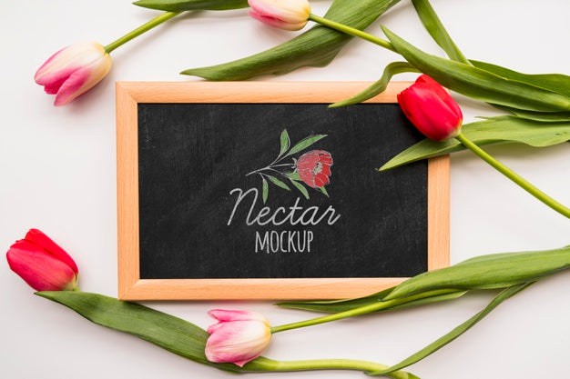 Flat Lay Flowers On Blackboard Psd