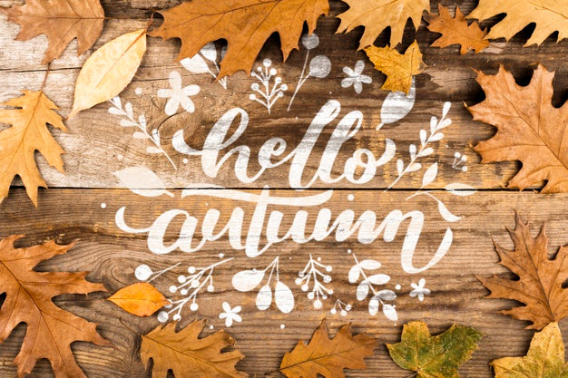 Flat Lay Frame With Leaves And Copy-Space Psd