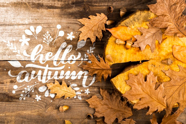 Flat Lay Frame With Leaves And Stump Psd