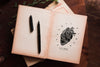 Flat Lay Of Books With Pen And Flowers Psd