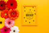 Flat Lay Of Daisies With Frame Psd
