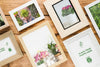 Flat Lay Of Different Frames Psd