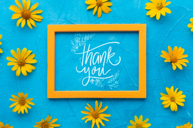 Flat Lay Of Frame Mock-Up On Blue Background Psd