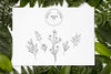 Flat Lay Of Frame Mock-Up With Leaves Psd