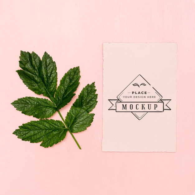 Flat Lay Of Leaves Concept Mock-Up Psd