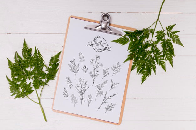 Flat Lay Of Leaves Concept Mock-Up Psd