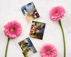 Flat Lay Of Photos With Spring Daisies Psd