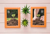Flat Lay Of Rectangular Frames On Wooden Background With Succulents Psd
