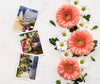 Flat Lay Of Spring Chamomile And Daisies With Photos Psd