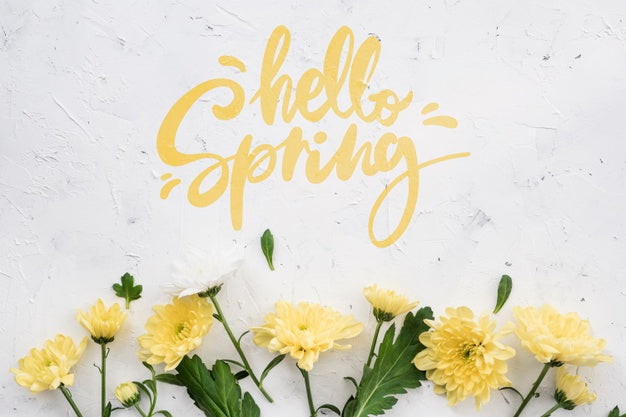 Flat Lay Of Spring Daisies Psd