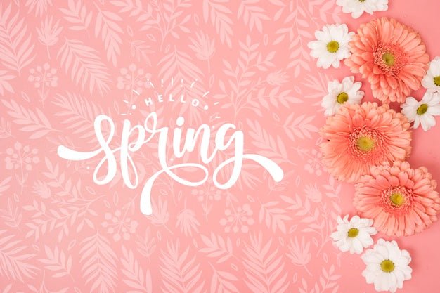 Flat Lay Of Spring Daisies Psd