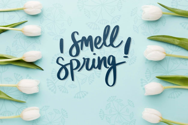 Flat Lay Of White Tulips Frame Psd