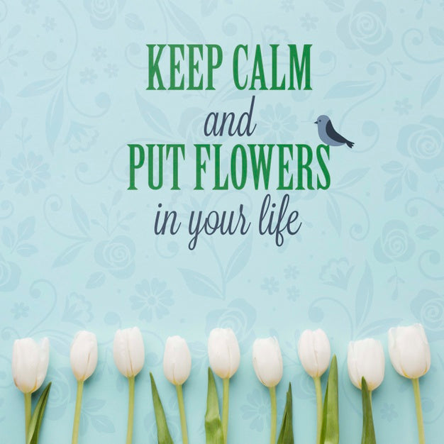 Flat Lay Of White Tulips Psd