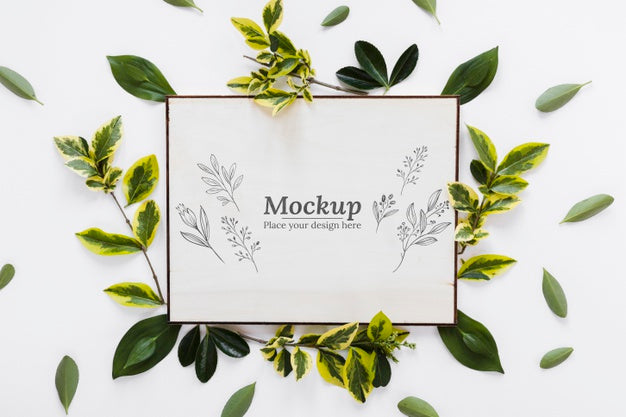 Flat Lay Plants And Card Arrangement Psd