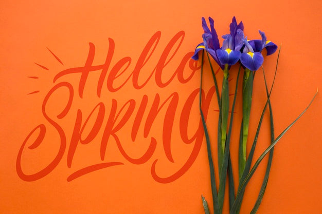 Flat Lay Spring Mockup With Copyspace Psd