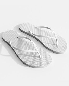Flip-Flop Demonstration Mockup