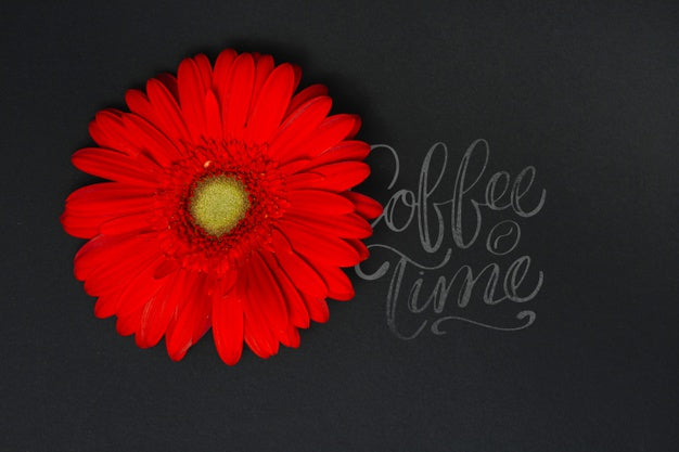 Flower On Blackboard Psd