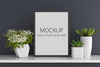 Flowers And Succulent Pots With Frame Mockup Psd