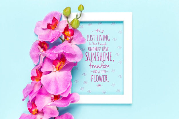 Flowers Arrangement With White Frame Psd