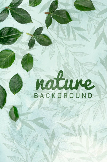 Flowers Concept Mock-Up Psd