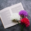 Flowers On Open Book Mockup Psd