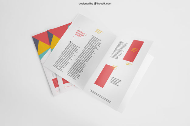 Flyer Mockup Concept Psd