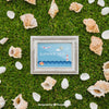 Frame And Shells On Grass Psd