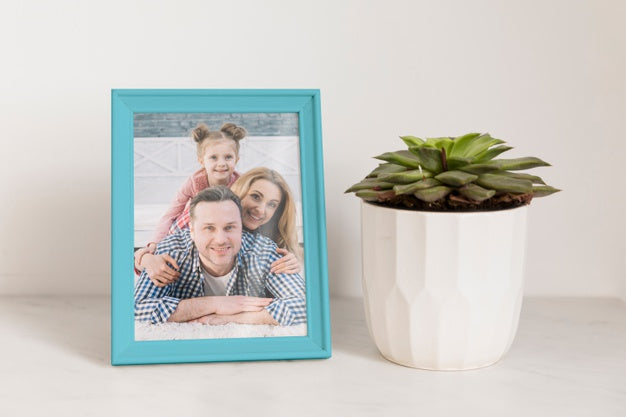 Frame Mockup Next To A Plant Psd