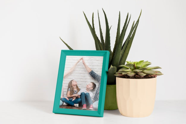 Frame Mockup Next To A Plant Psd