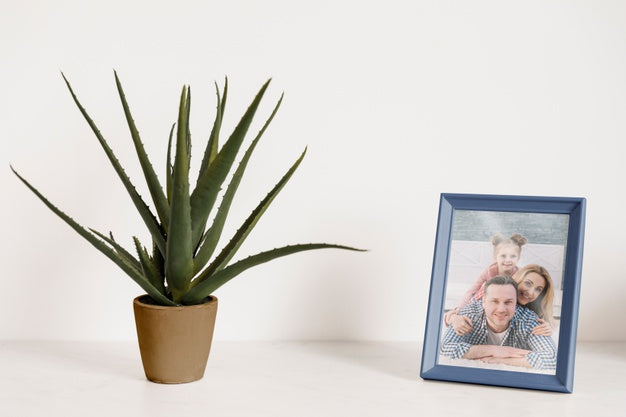 Frame Mockup Next To A Plant Psd