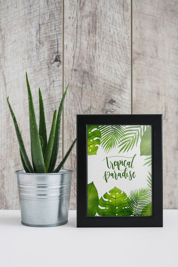 Frame Mockup Next To Plants Psd