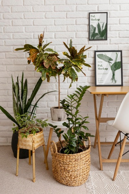 Frame Mockup Surrounded By Plants Psd