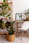 Frame Mockup Surrounded By Plants Psd