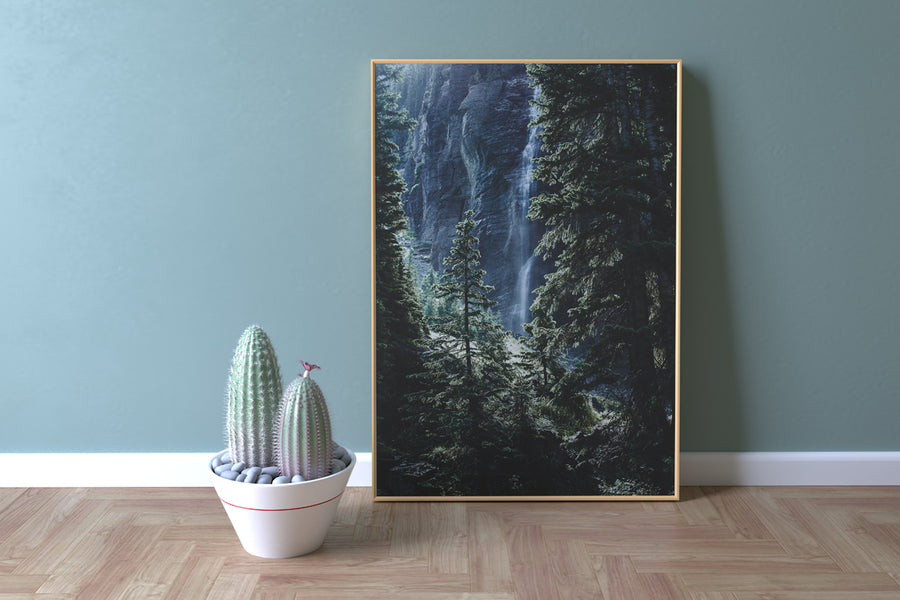 Frame Mockup With Cactus