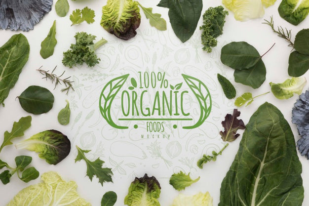 Frame Of Greenery Psd