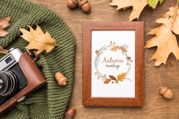 Frame With Camera Beside Psd