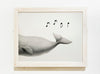 Framed Art Piece Of A Whale Singing Psd